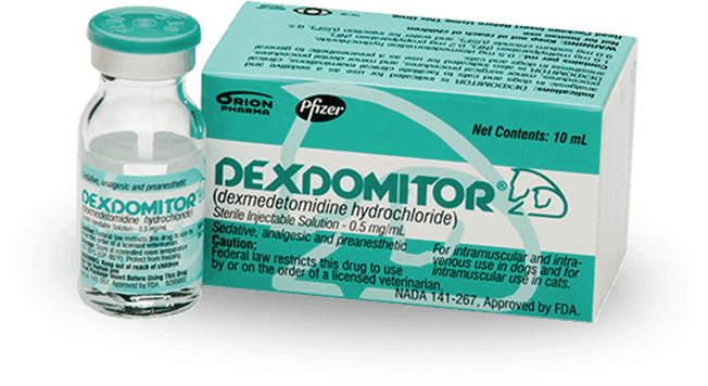 Dexmedetomidina
