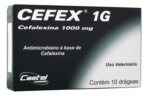 Cefalexina: O Que É, Para Que Serve, Efeitos Colaterais, Como Usar, Receita e Alternativas