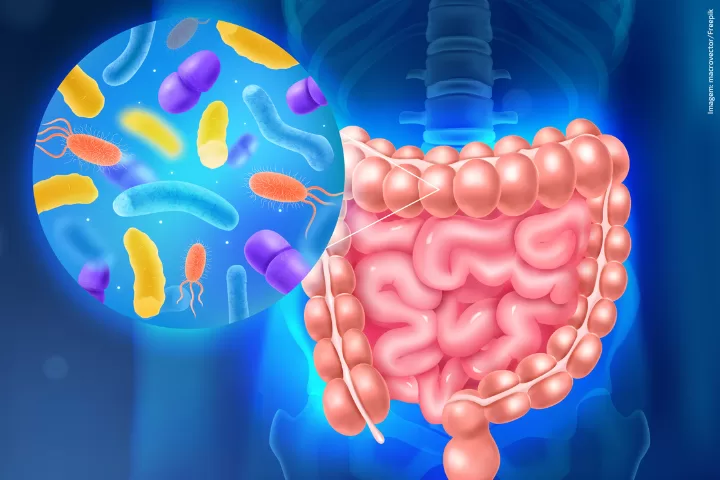 Microbiota Intestinal: O Que É, Para Que Serve, Efeitos Colaterais, Como Cuidar e Alternativas