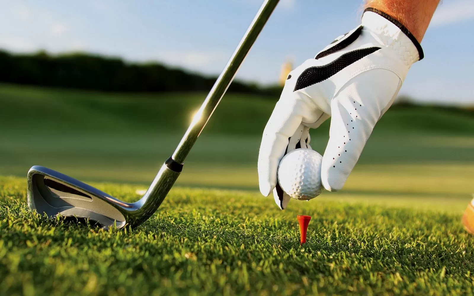 Golfe: História, Regras, Benefícios e Curiosidades do Esporte da Precisão