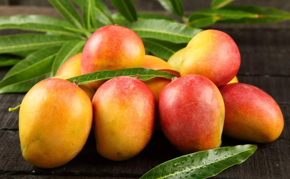 Manga: Benefícios, Propriedades e Tudo o Que Você Precisa Saber Sobre Essa Fruta Tropical
