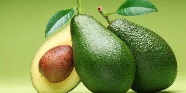 Abacate: Um Tesouro Verde de Sabor e Saúde
