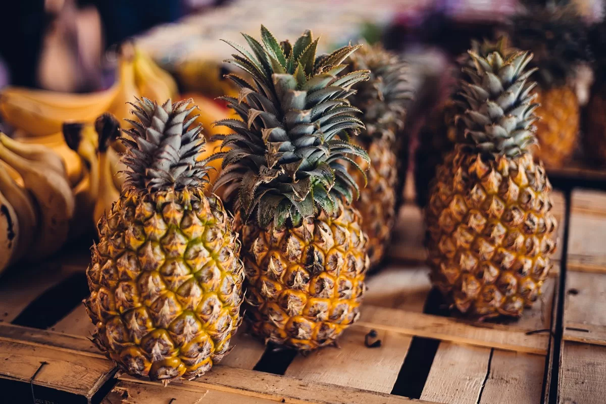 Abacaxi: Benefícios, Usos, Curiosidades e Como Consumir Essa Fruta Tropical