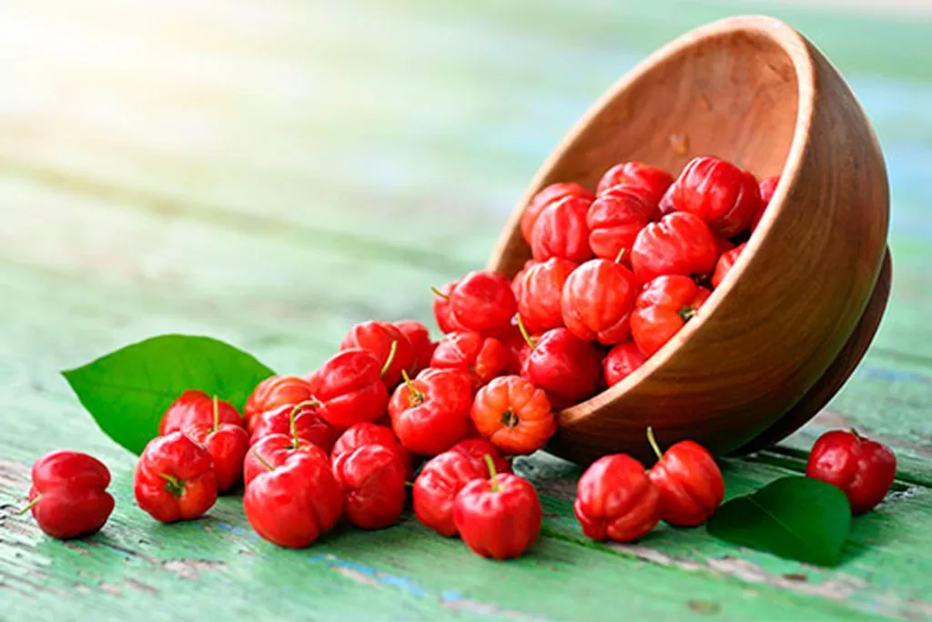 Acerola: Benefícios, Nutrientes, Usos e Como Consumir a Fruta Rica em Vitamina C