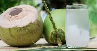 Água de Coco: O Elixir Natural dos Trópicos
