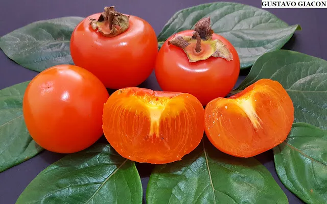 Caqui: Benefícios, Tipos, Como Consumir e Curiosidades da Fruta Oriental