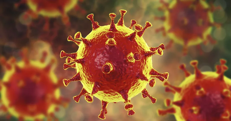 Coronavírus (COVID-19): O Que É, Sintomas, Transmissão, Tratamento e Prevenção