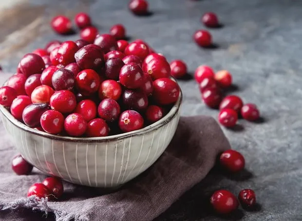 Cranberry: A Pequena Fruta Vermelha com Grande Poder Nutricional
