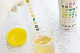 Exame de Urina: Uma Janela para a Saúde do Corpo