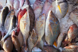 Peixes e testosterona